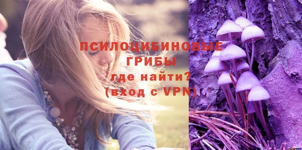 бошки Верхний Тагил