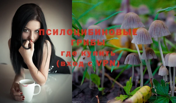 прущая мука Бронницы
